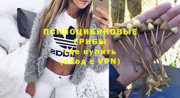 гашик Волоколамск