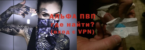 PSILOCYBIN Вяземский