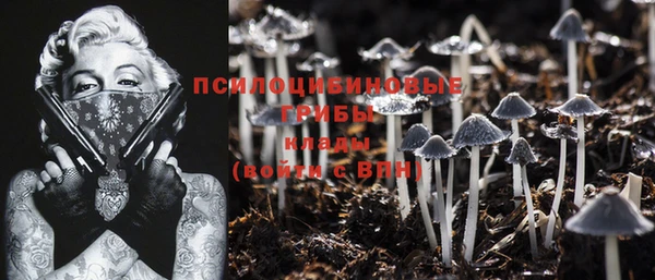 гашик Волоколамск