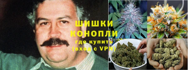 PSILOCYBIN Вяземский