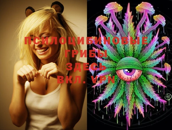 PSILOCYBIN Вяземский