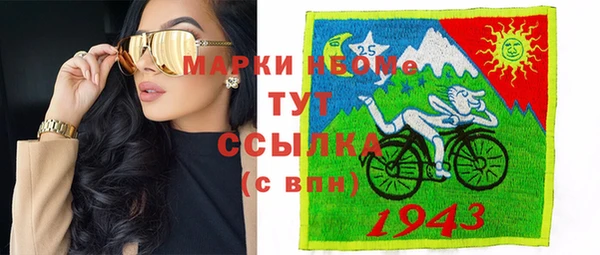 PSILOCYBIN Вяземский
